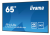 7811dba50f781ed6ff6656959d4bbd89.png