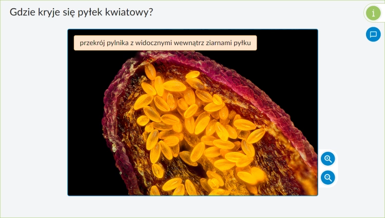 5f52758b99d8fb5cec0a00da30a9aa69.png