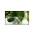 61cc3f80d208965c98171b6835a498a2.png