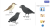 cc34e7d63192e2add214a555a05dfd73.png