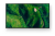 f6d1ec7294a3b76eadcbbd4ff1af85c5.png